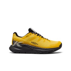 Men's Targhee Apex Waterproof Hiking Shoe  |  Symphonic Sunset/Black