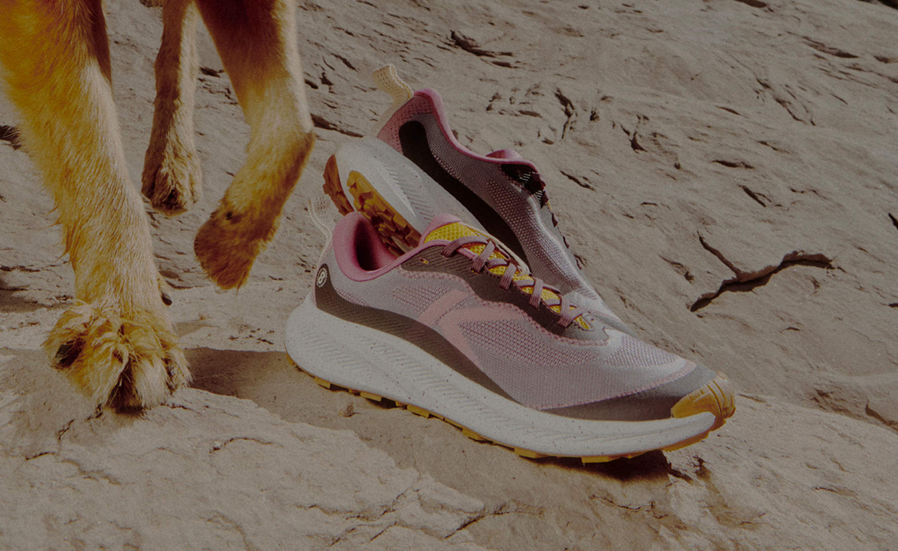 Women's Wander Trail Running Shoe | Huckleberry/Symphonic Sunset - Image 10