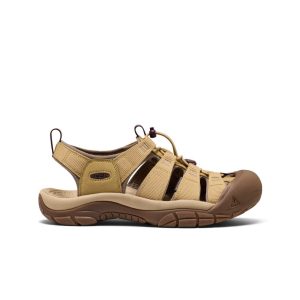 Men's Newport H2 Sandal  |  Mesa Glow